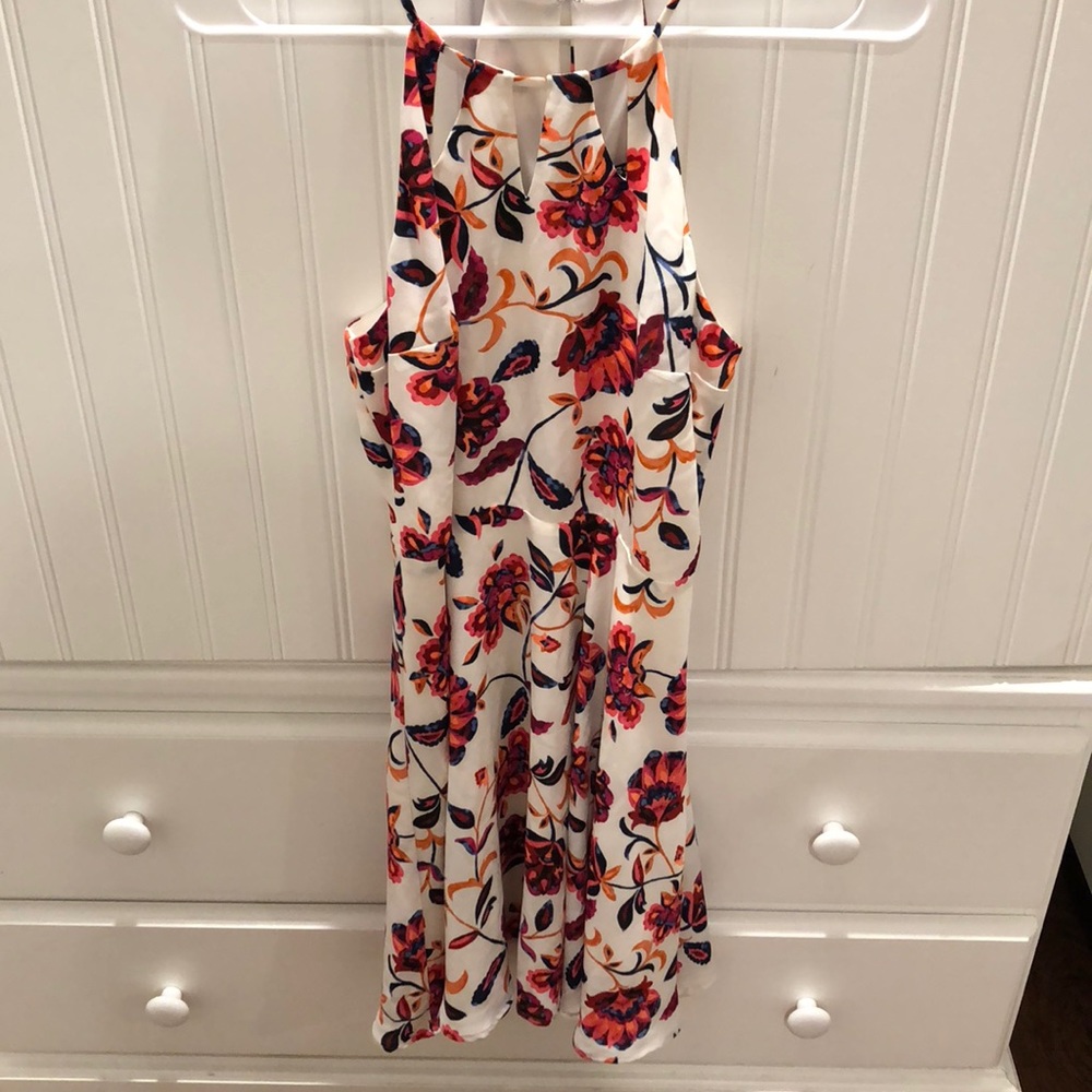 Express shift dress